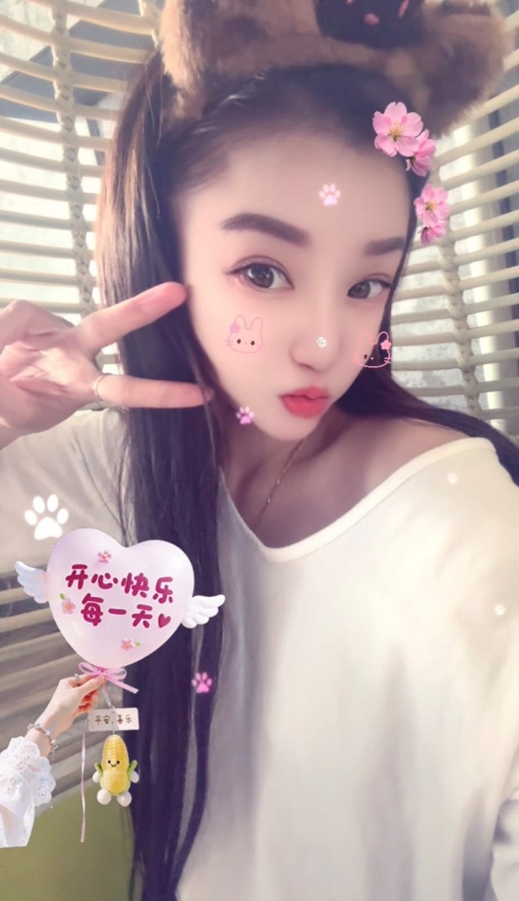 小猫 - 新加坡KKbaby